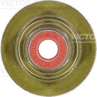 Уплотнительное кольцо, стержень клапана/ VICTOR REINZ 70-36613-00