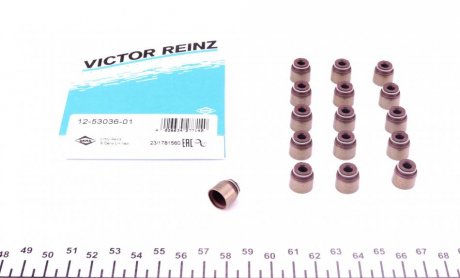 Комплект прокладок, стрижень клапана/ VICTOR REINZ 12-53036-01 (фото 1)