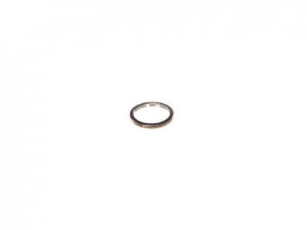 Плоское уплотн кольцо BOSCH 1 460 105 309 (фото 1)