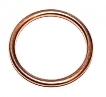 Уплотнительное кольцо, резьбовая пр/ ELRING 813.184 (фото 1)