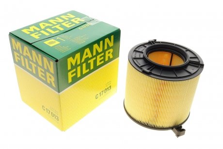 Воздушный фильтр MANN C17013 (фото 1)