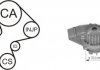 Комплект ГРМ + помпа Citroen Jumper/Berlingo 1.8/1.9D/TD 94- AIRTEX WPK-157901 (фото 1)