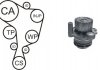 Комплект ГРМ + помпа VW Caddy II 1.9TDi 95-04 AIRTEX WPK-937802 (фото 1)