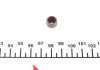 Уплотнительное кольцо, стержень клапана VICTOR REINZ 70-38628-00 (фото 2)