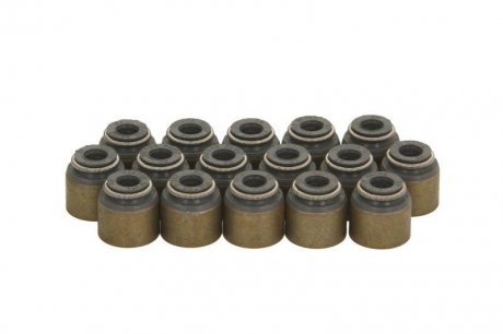 Комплект сальників клапанів VICTOR REINZ 121003101 (фото 1)