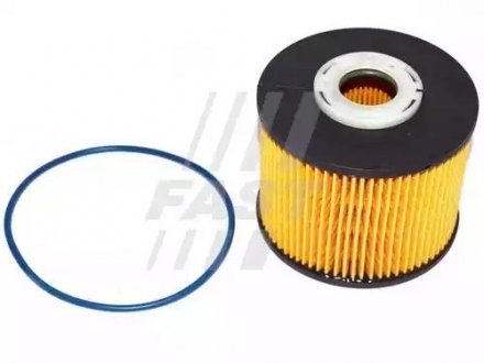 Фильтр топливный (вставка) Citoren/Ford/Peugeot 2.0 HDi 09-/2.0 TDCi 11- FAST FT39077