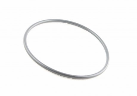 Уплотняющее кольцо VAG N91095601 (фото 1)