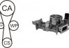 Водяной насос + комплект зубчатого ремня AIRTEX WPK181801 (фото 1)