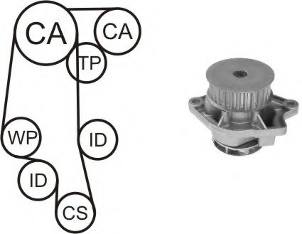Водяной насос + комплект зубчатого ремня AIRTEX WPK158102 (фото 1)