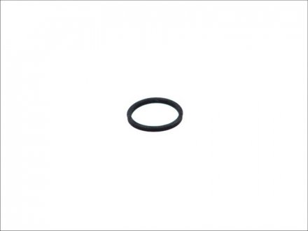 Уплотнительное кольцо, клапанная форсунка TOPRAN / HANS PRIES 100677 (фото 1)