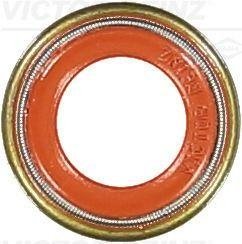 Уплотнительное кольцо, стержень кла REINZ VICTOR REINZ 703600410
