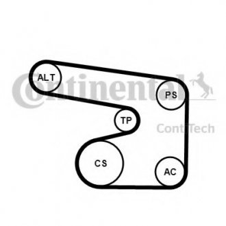 Поликлиновой ременный комплект Contitech 6PK1900K1 (фото 1)