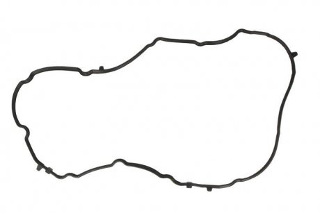 Прокладка, кришка головки циліндра VICTOR REINZ 711035900 (фото 1)