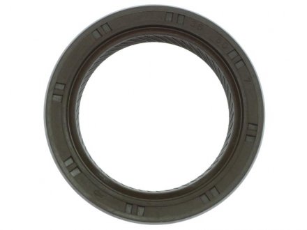 Уплотняющее кольцо, коленчатый вал GA 6025 STARLINE GA6025 (фото 1)
