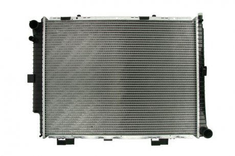 Основний радіатор (двигуна) THERMOTEC D7M037TT (фото 1)