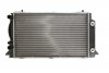 Основний радіатор (двигуна) THERMOTEC D7A041TT (фото 2)