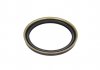 Уплотняющее кольцо, коленчатый вал Payen NJ058 (фото 2)