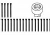 Комплект болтов головки цилидра Payen HBS063 (фото 1)