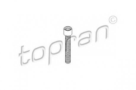Болт, фланець карданного валу TOPRAN / HANS PRIES 104306 (фото 1)