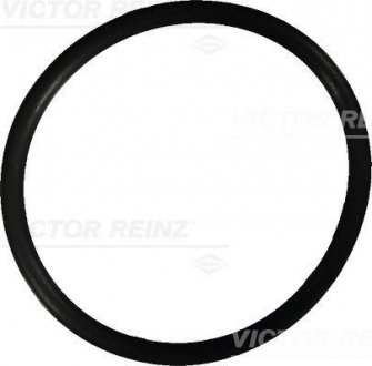 Уплотнительное кольцо VICTOR REINZ 407602210 (фото 1)