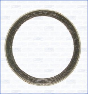 Уплотнительное кольцо, труба выхлопного газа AJUSA 19003400 (фото 1)