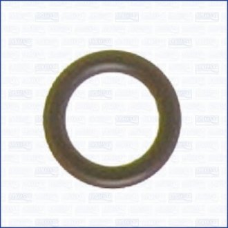 Уплотнительное кольцо, стержень кла AJUSA 16004200 (фото 1)
