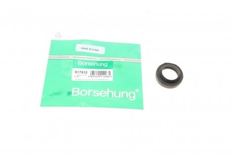 Уплотняющее кольцо КПП Borsehung B17833 (фото 1)