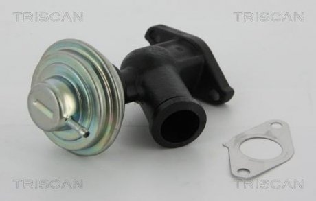Клапан рециркуляции отходящих газов Fiat/Ford/PSA 2.0Jtd/2.0Tdci/2.0Hdi TRISCAN 881310011 (фото 1)