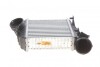 INTERCOOLER VW 2,5TDI PASSAT B6/SUPERB I LEWA STRONA NRF 309030 (фото 1)