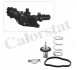 Термостат MB W176/Citan/ Renault Clio/Kangoo/Megane 1.5 D/dCI/Cdi 09- (83C) CALORSTAT BY Vernet THK7276.83J (фото 1)