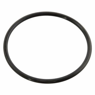 Кільце ущільнювача круглого перерізу SWAG 10 91 0258 (фото 1)