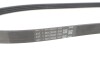 Multi V-Belt CONTINENTAL Contitech 4PK865ELAST (фото 4)