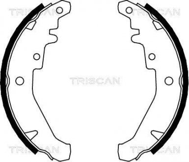 Комплект гальмівних колодок TRISCAN 810015026 (фото 1)